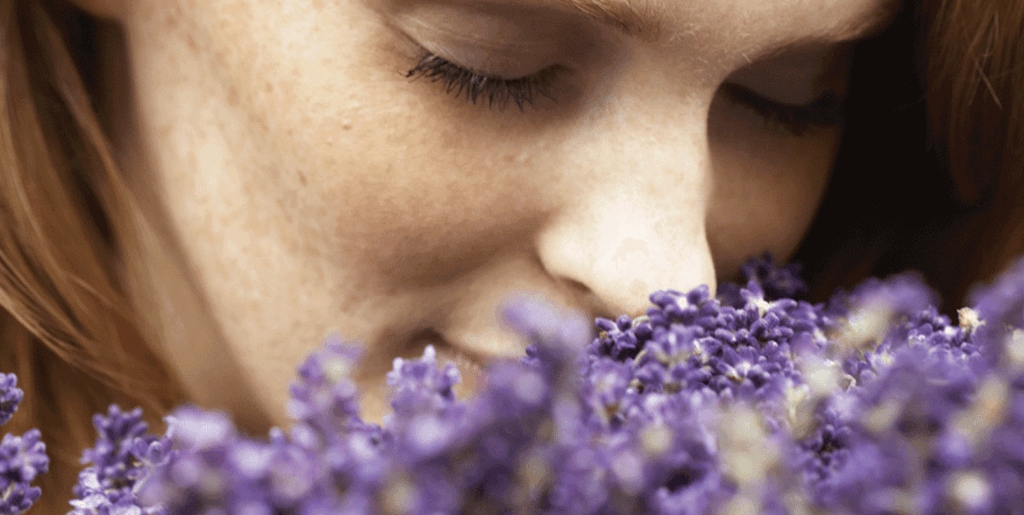 AirScent International Launches New, MobileFriendly site