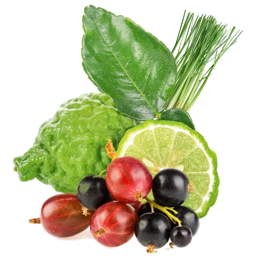 The 12 Best Scents For Hotel Lobbies & Hospitality Brands