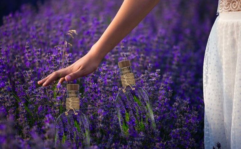 Scent And Well Being