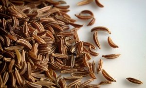 Caraway seed essential oil
